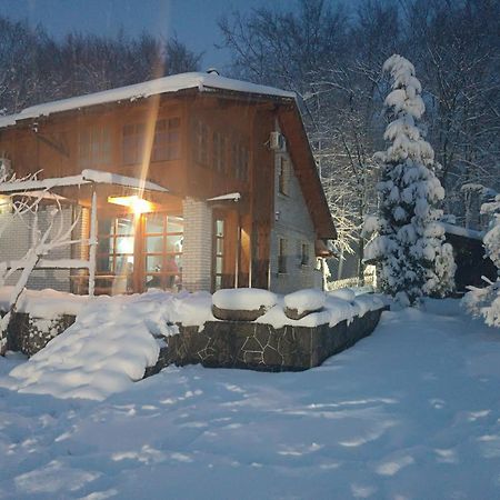 Villa Ema سراييفو المظهر الخارجي الصورة