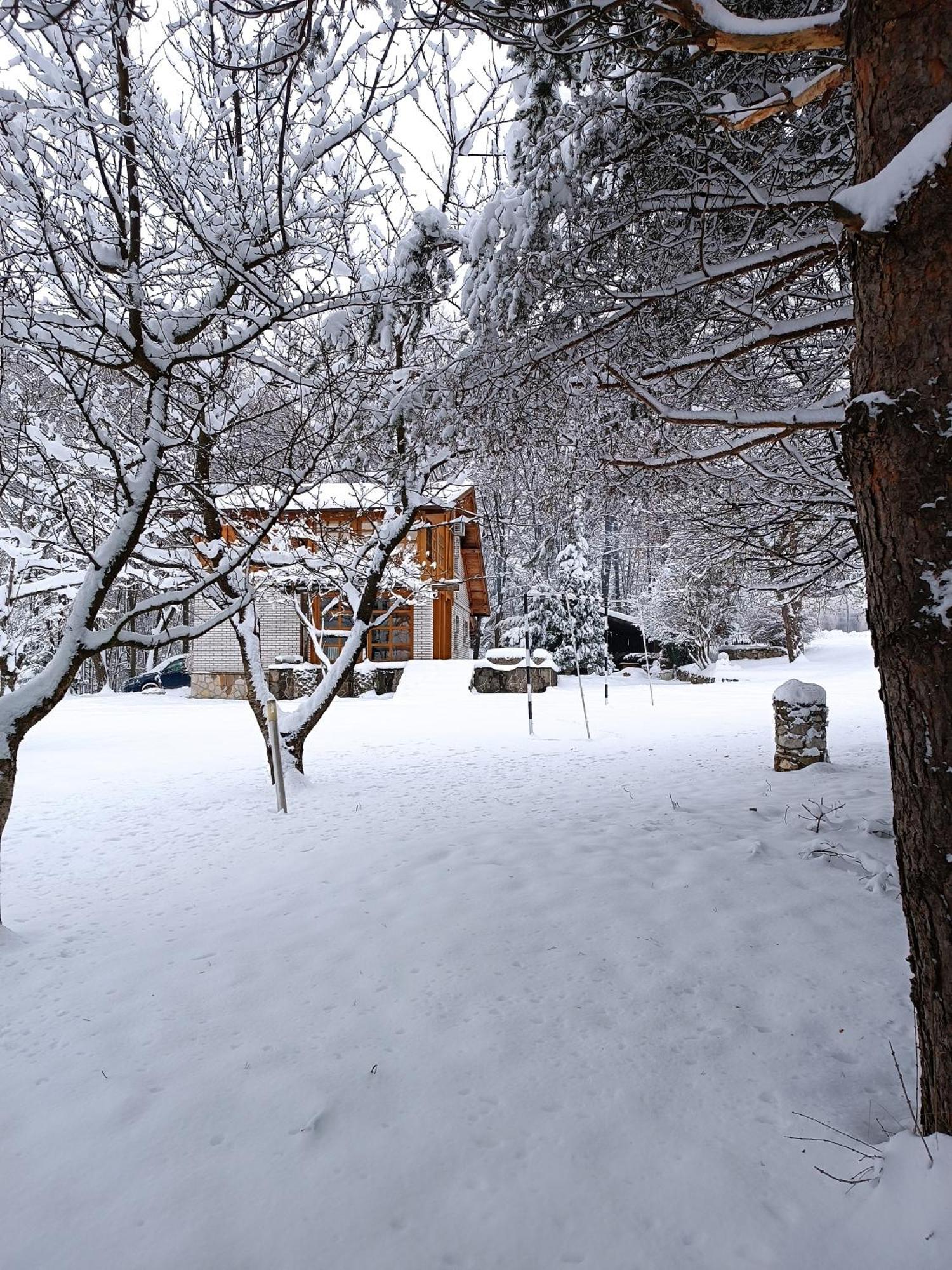 Villa Ema سراييفو المظهر الخارجي الصورة